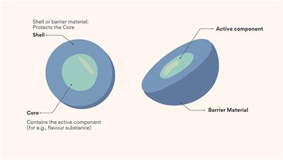 Flavour encapsulation: A comparative analysis of relevant techniques, physiochemical characterisation, stability, and food applications